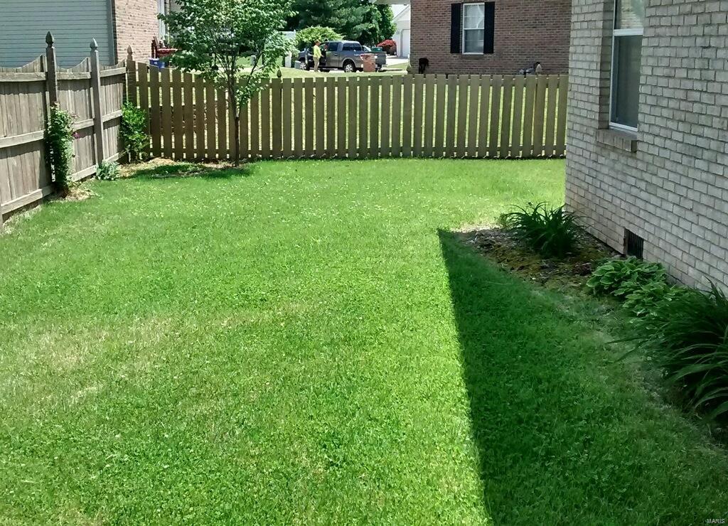336 Radcliff Road Belleville, IL 62221 - Photo 3 of 10