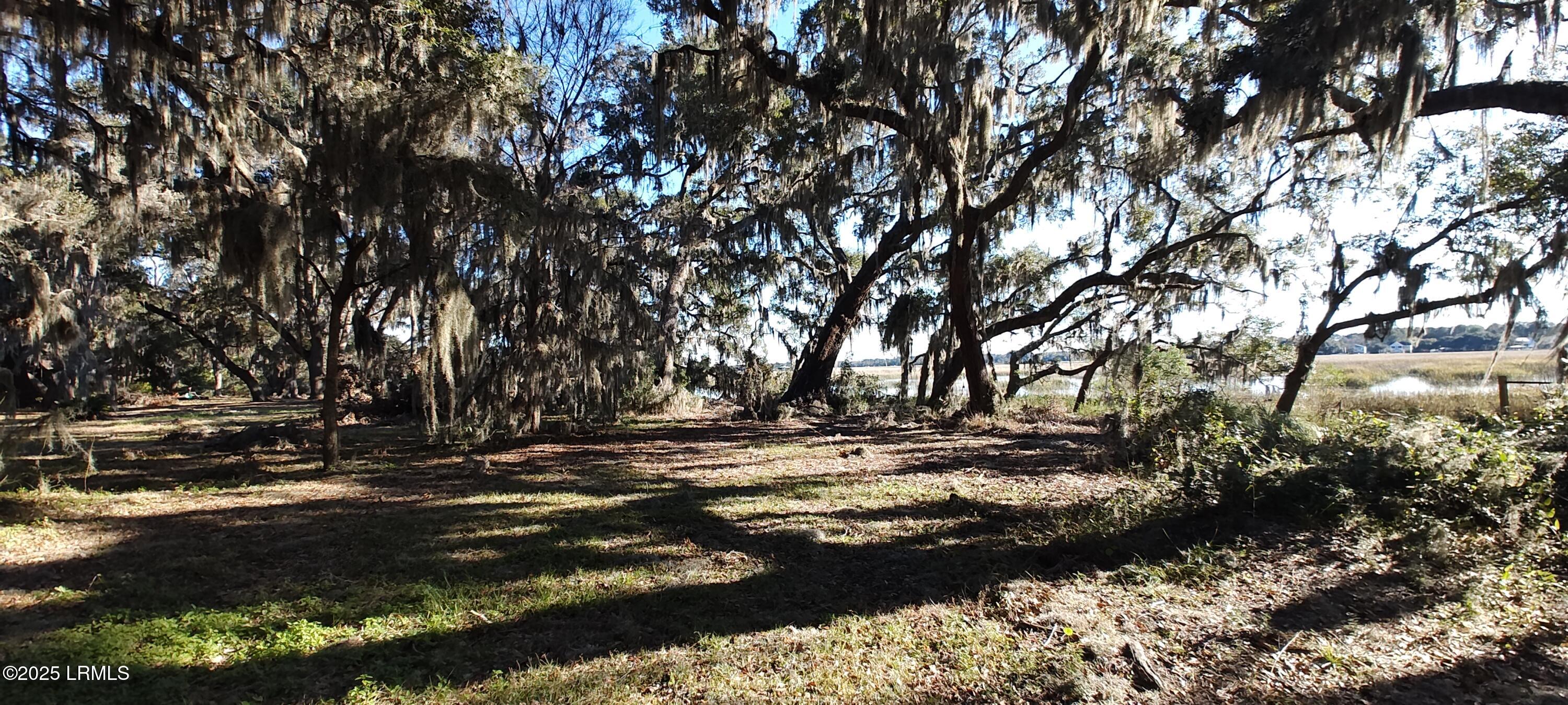 72 Stuart Point Road Seabrook, SC 29940 - Photo 5 of 19 IMG_20250107_145821324