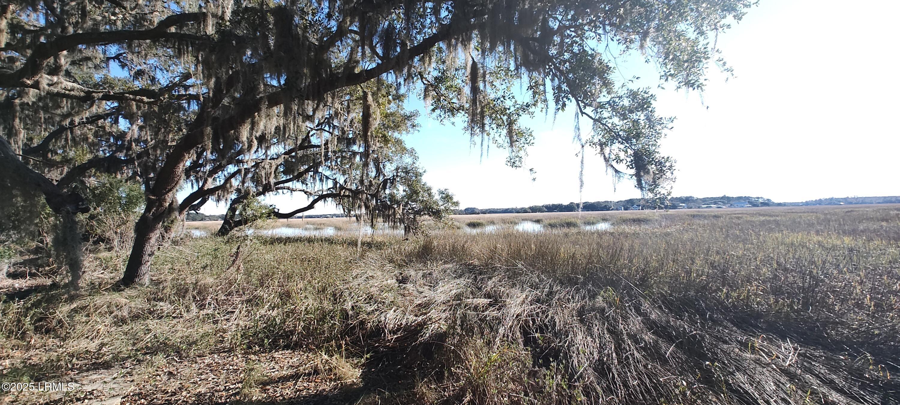 72 Stuart Point Road Seabrook, SC 29940 - Photo 6 of 19 IMG_20250107_145859146