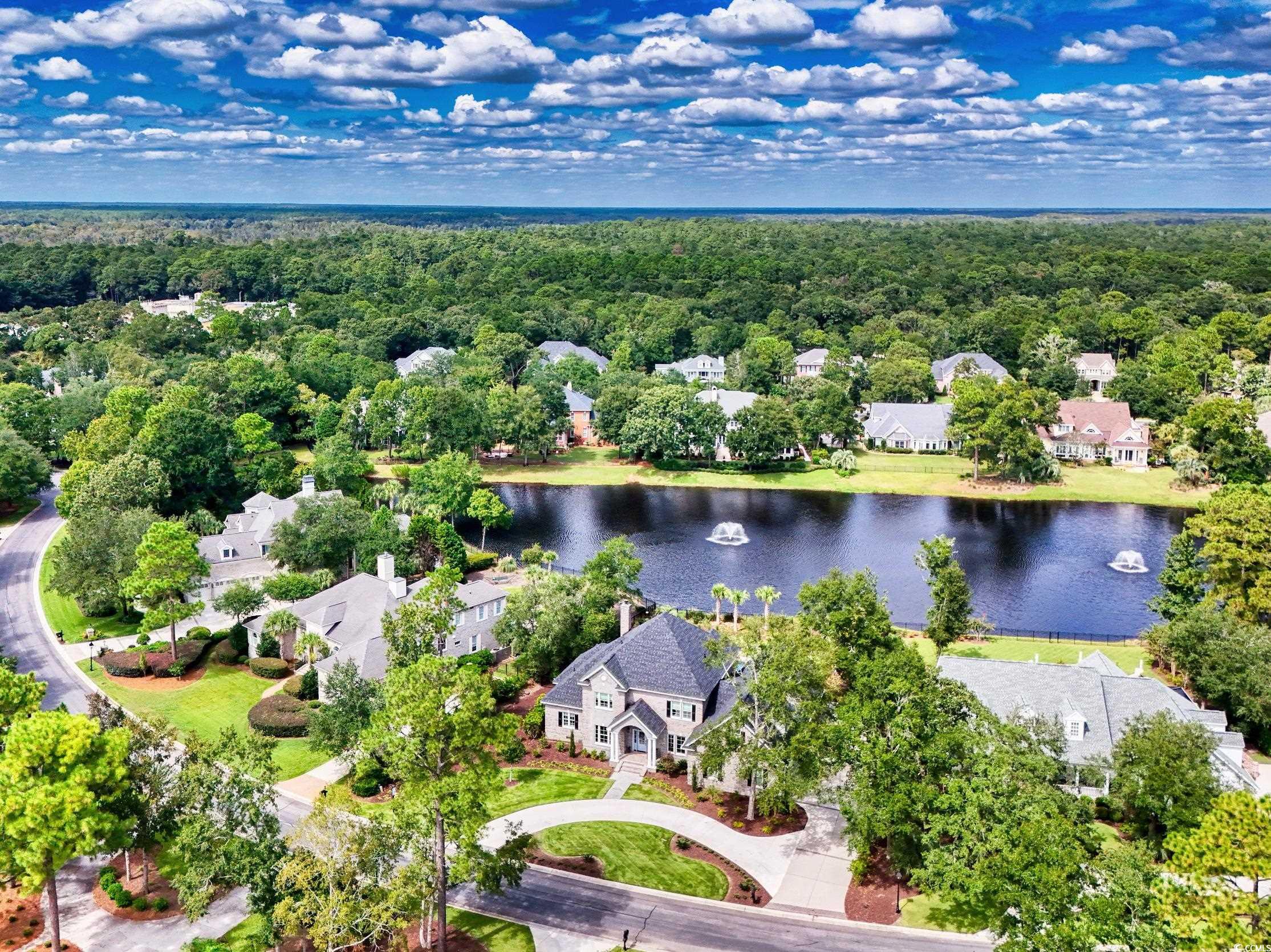 874 Preservation Circle Pawleys Island, SC 29585 - Photo 4 of 40