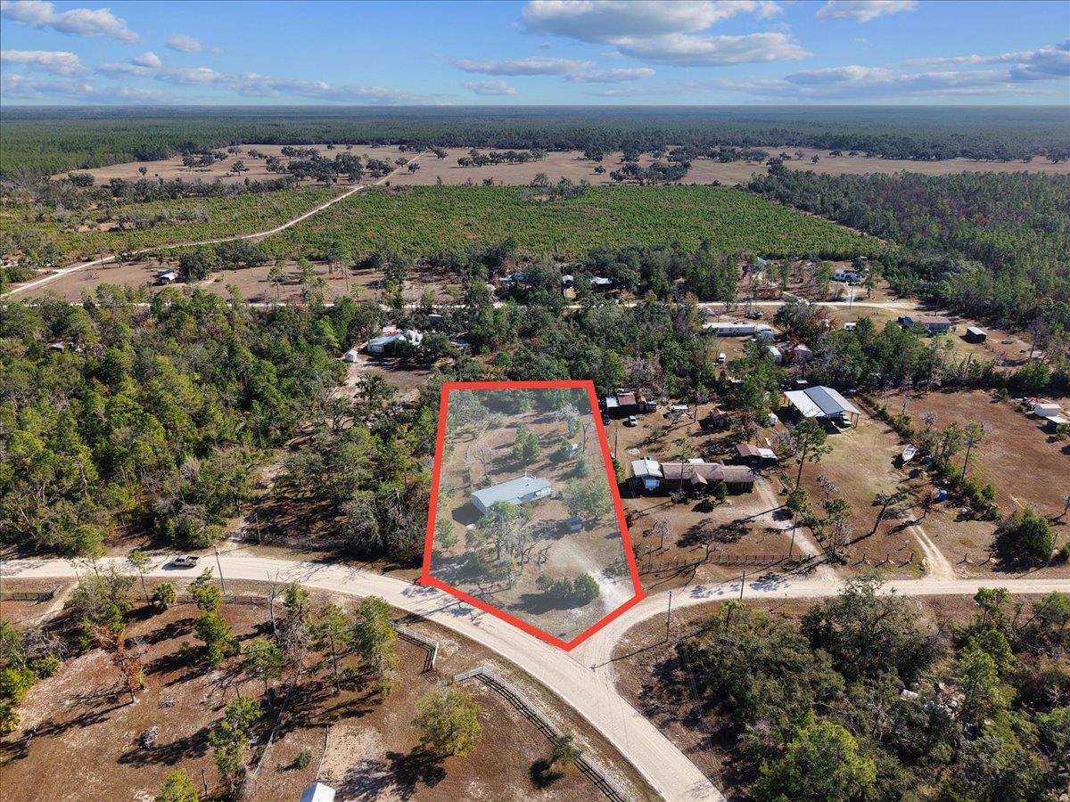 15872 Stone Crab Drive Perry, FL 32348 - Photo 11 of 36