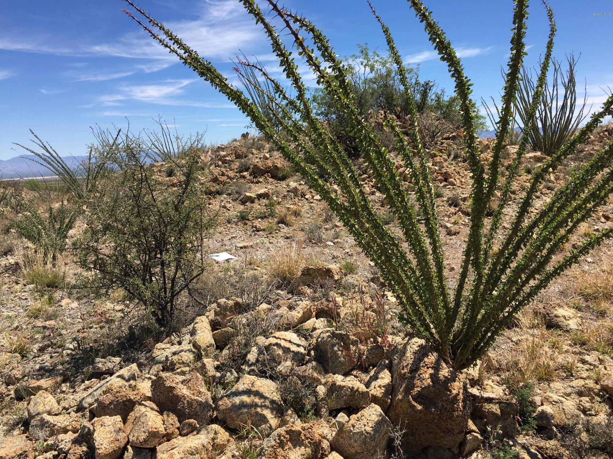 Unassigned West McGee Ranch Road, Unit C Sahuarita, AZ 85629 - Photo 5 of 13