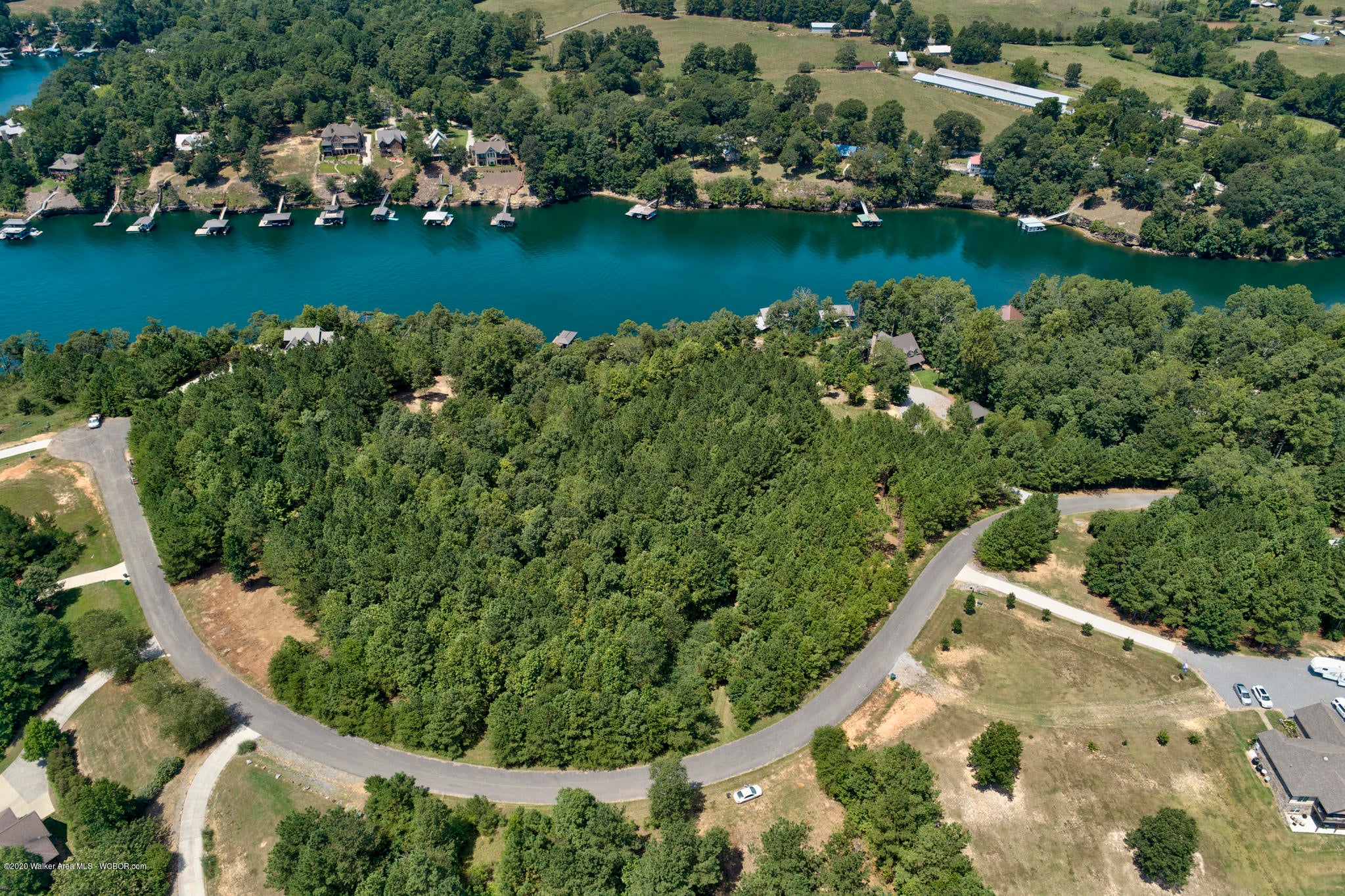 0 Co Road Crane Hill, AL 35053 - Photo 6 of 23 Gallery Image 6