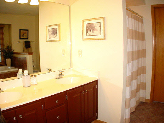 9845 Rambouillet Ridge Roscoe, IL 61073 - Photo 9 of 11 a bathroom with a sink and a mirror
