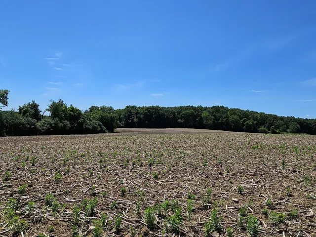 $3,499,000 | W240S10240 Castle Road, Vernon, WI 53103