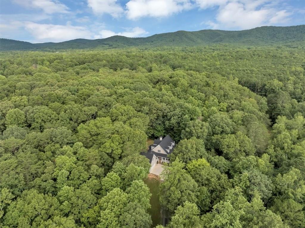 231 Beaver Ridge Road Jasper, GA 30143 - Photo 74 of 80 a view of a lush green hillside and a houses