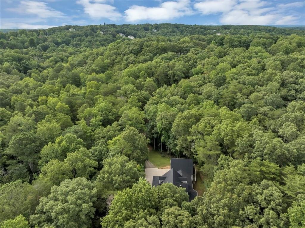 231 Beaver Ridge Road Jasper, GA 30143 - Photo 76 of 80 a view of a lush green field