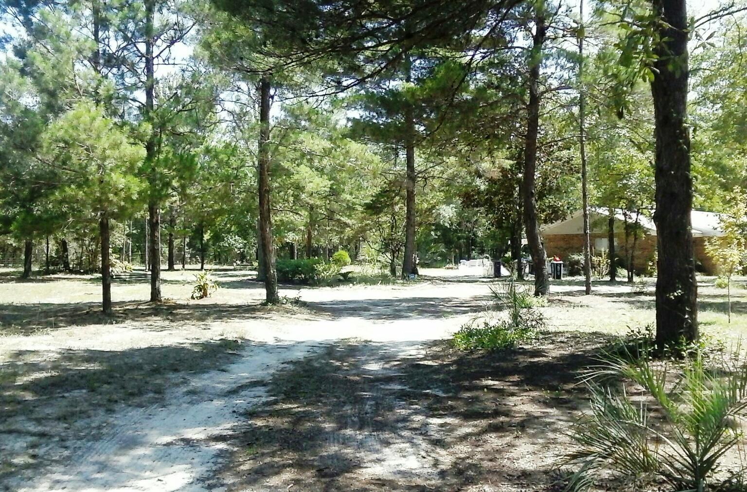 290 Ates Road DeFuniak Springs, FL 32433 - Photo 6 of 11 Driveway to home