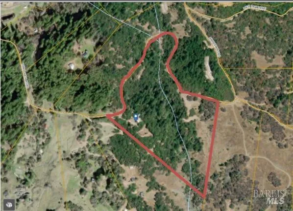 a close up of a plant in a garden