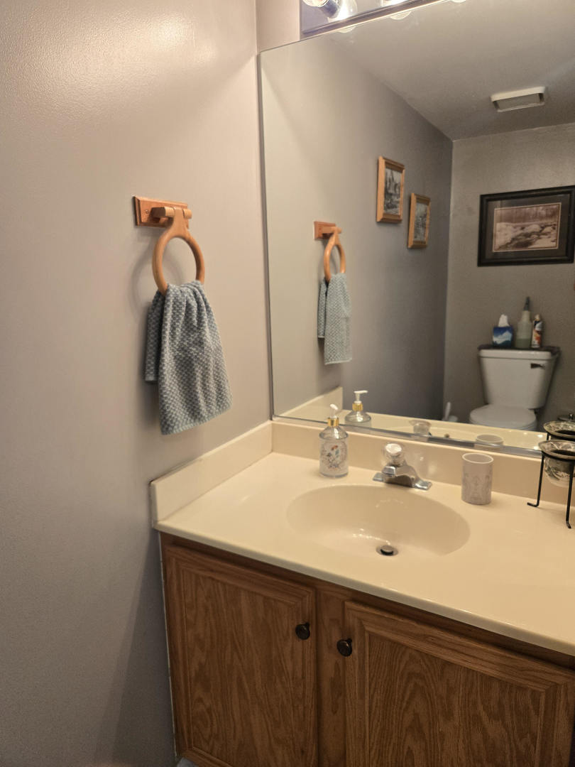 997 West Briarcliff Road Bolingbrook, IL 60440 - Photo 12 of 28 Gallery Image 12