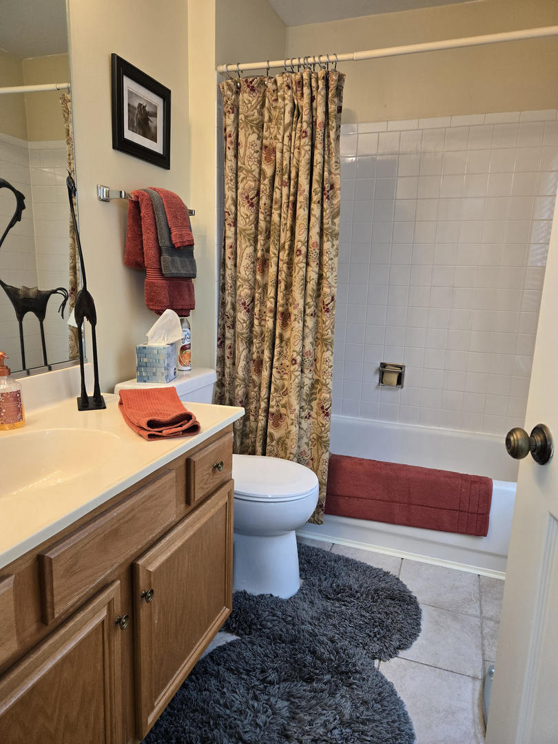 997 West Briarcliff Road Bolingbrook, IL 60440 - Photo 15 of 28 Gallery Image 15
