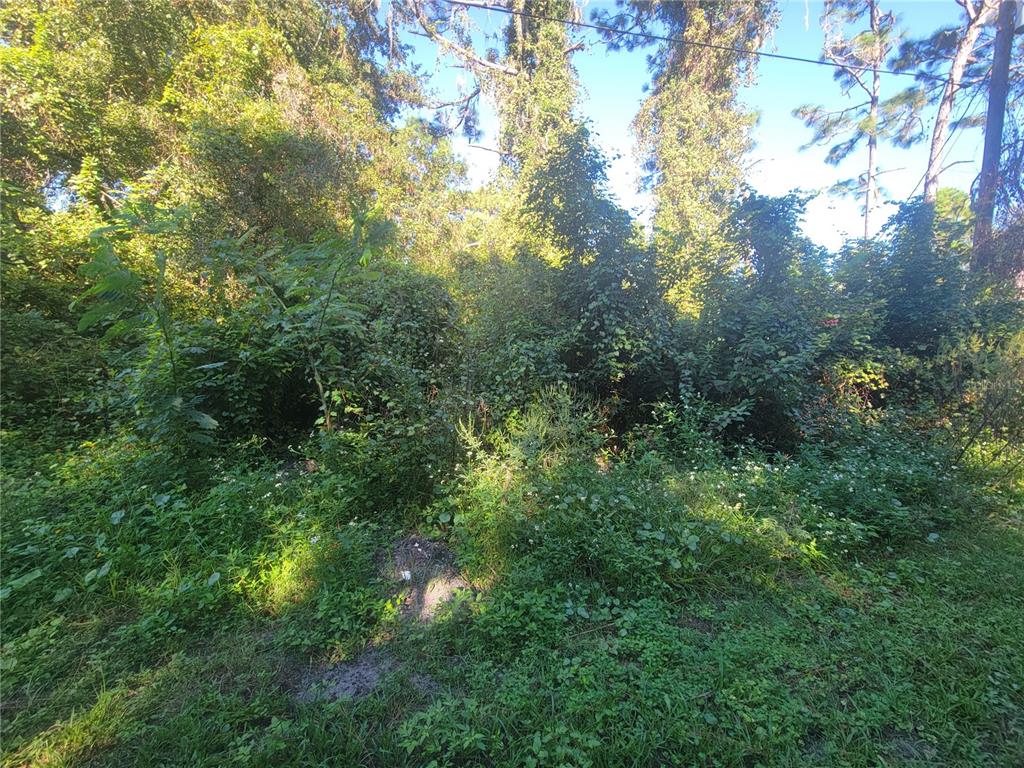 Naper Street New Port Richey, FL 34654 - Photo 2 of 3