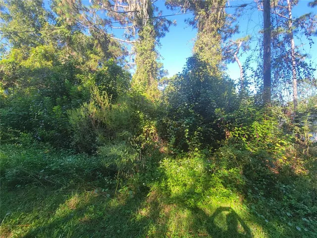 $15,000 | Naper Street, New Port Richey, FL 34654