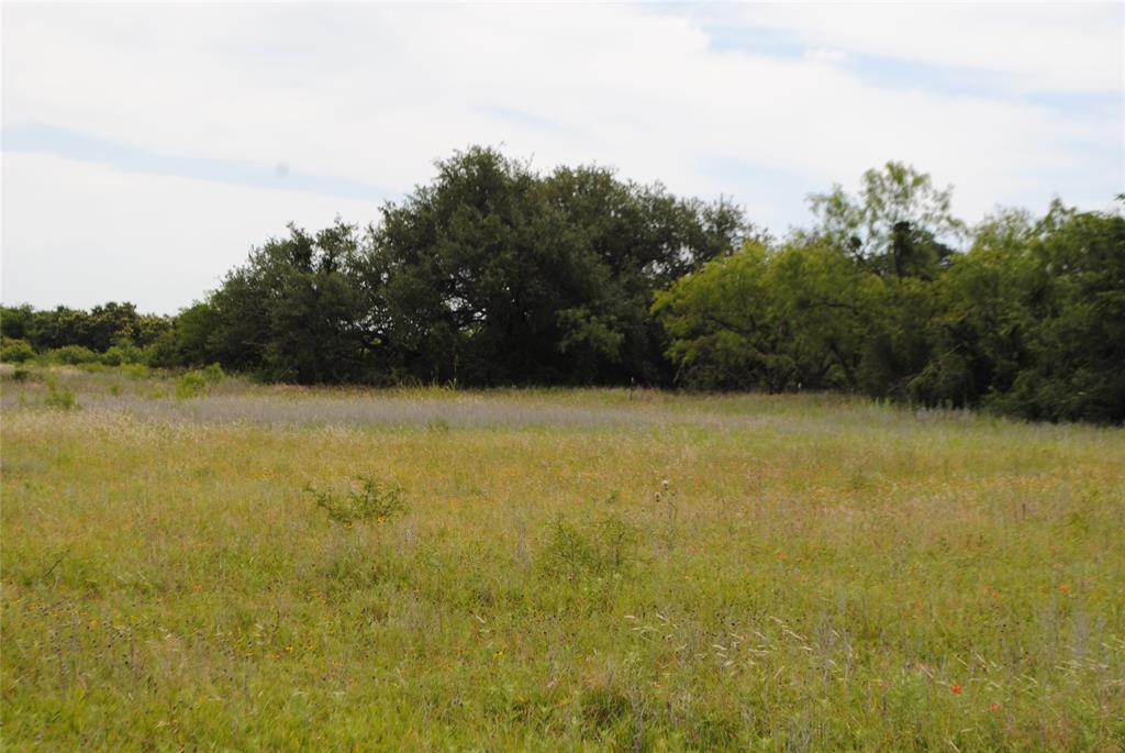 127 Rising Star Tx 76857 May, TX 76857 - Photo 11 of 17