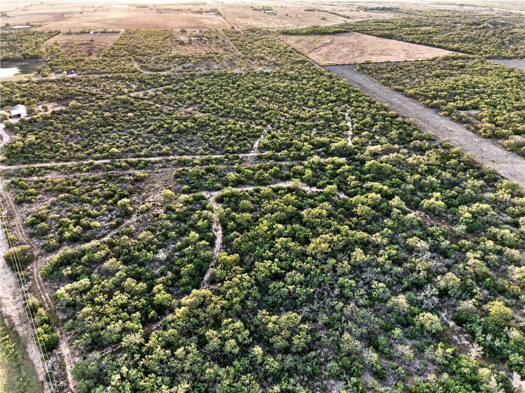 0 Highway 72 Three Rivers, TX 78071 - Photo 9 of 10 Gallery Image 9
