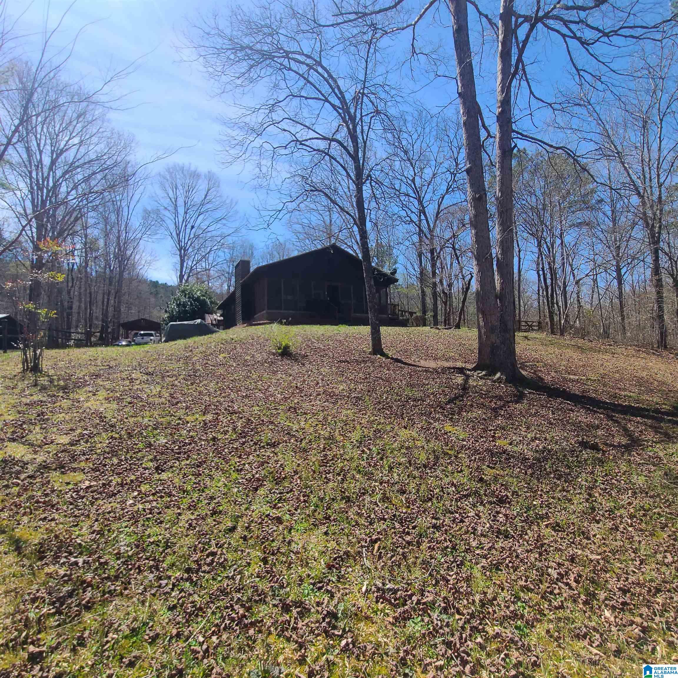 855 Browns Valley Road Pell City, AL 35128 - Photo 21 of 28 Gallery Image 21