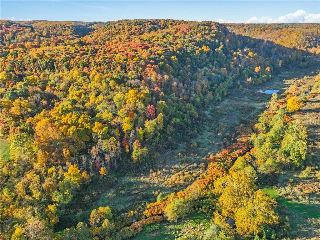 955 Pine Grove Road Industry, PA 15052 - Photo 13 of 16 a view of a large tree with an outdoor space