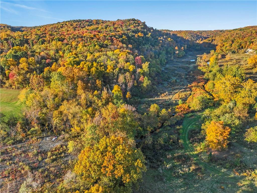 955 Pine Grove Road Industry, PA 15052 - Photo 14 of 16 a view of a large tree