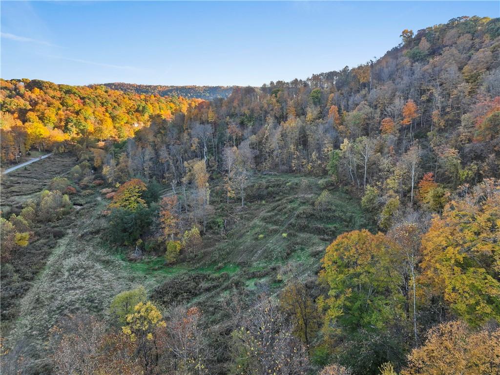 955 Pine Grove Road Industry, PA 15052 - Photo 15 of 16 a view of a forest with mountains in the background