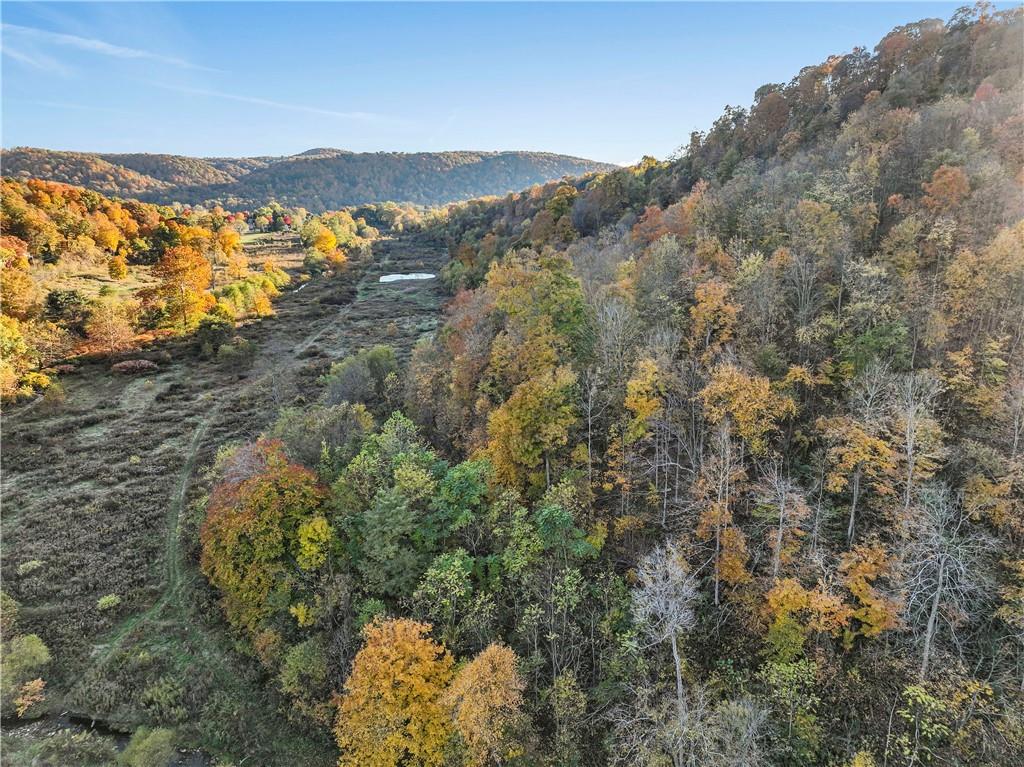 955 Pine Grove Road Industry, PA 15052 - Photo 16 of 16 a view of mountain with lake view