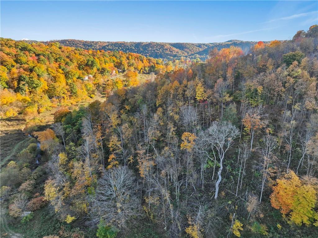 955 Pine Grove Road Industry, PA 15052 - Photo 9 of 16 a view of an outdoor space and a yard