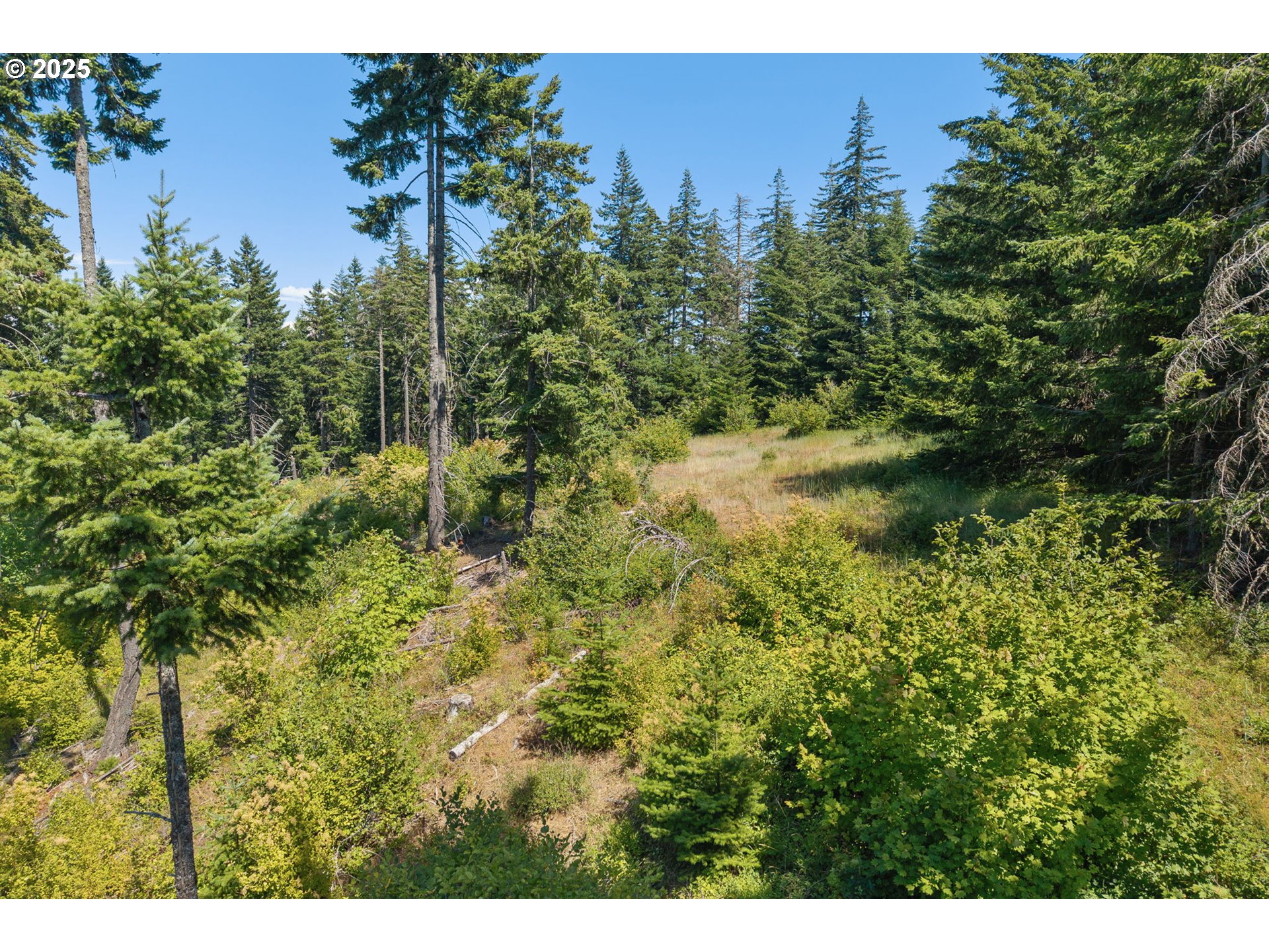 15 Brookside Road White Salmon, WA 98672 - Photo 1 of 27 a view of a lake with a house in a yard