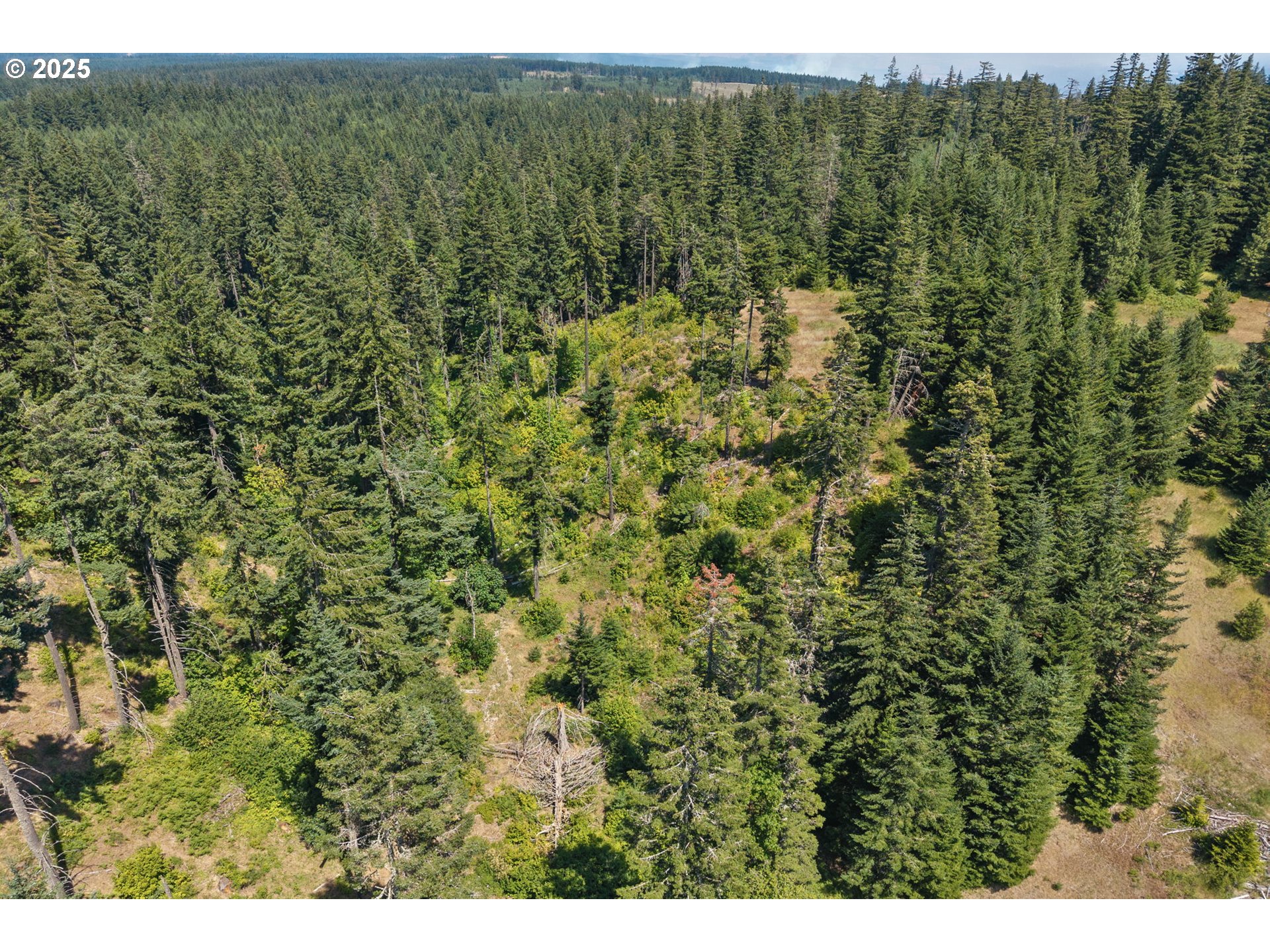 15 Brookside Road White Salmon, WA 98672 - Photo 11 of 27 a view of a large yard with lots of green space