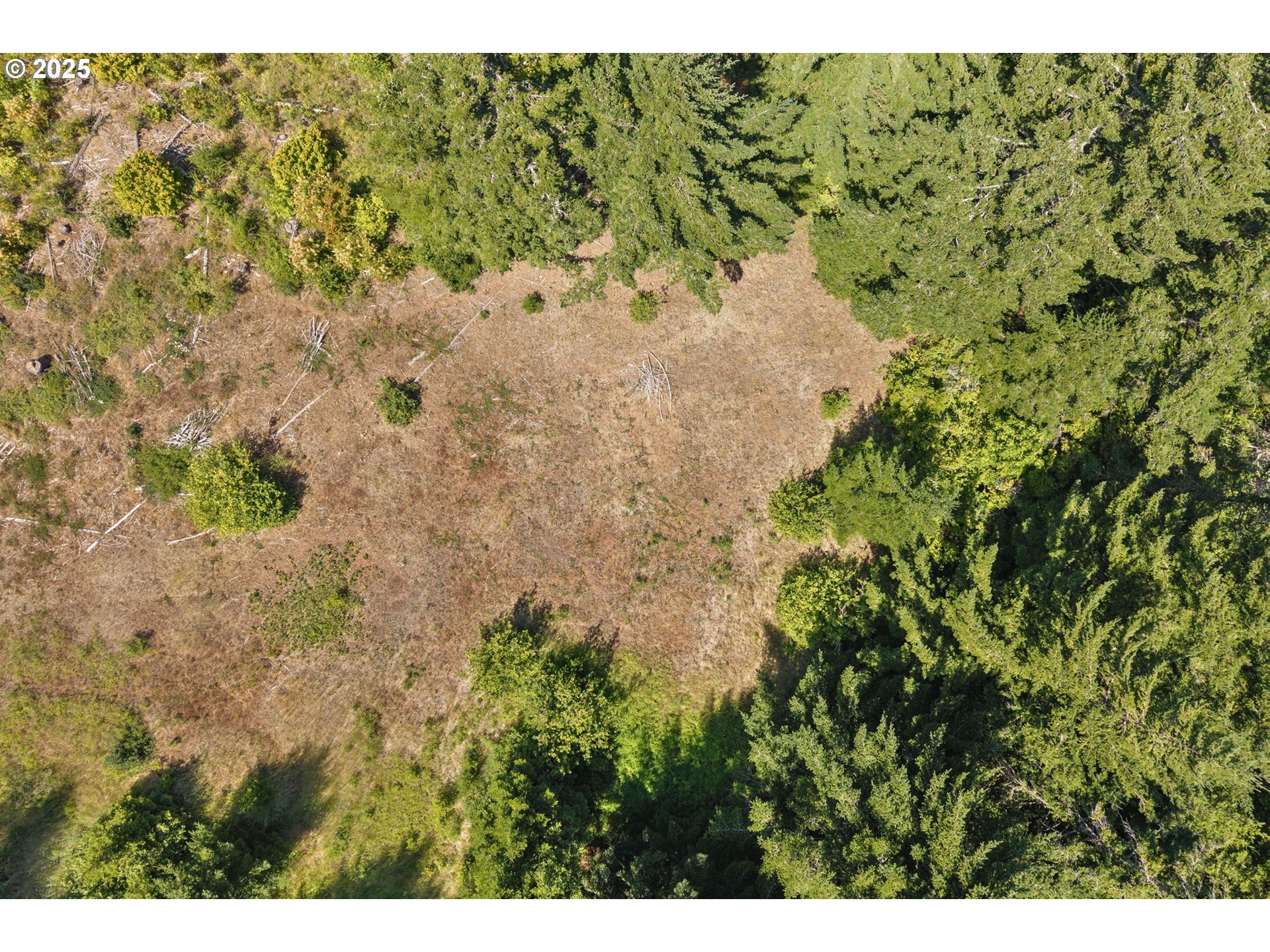 15 Brookside Road White Salmon, WA 98672 - Photo 12 of 27 a view of a forest with a tree