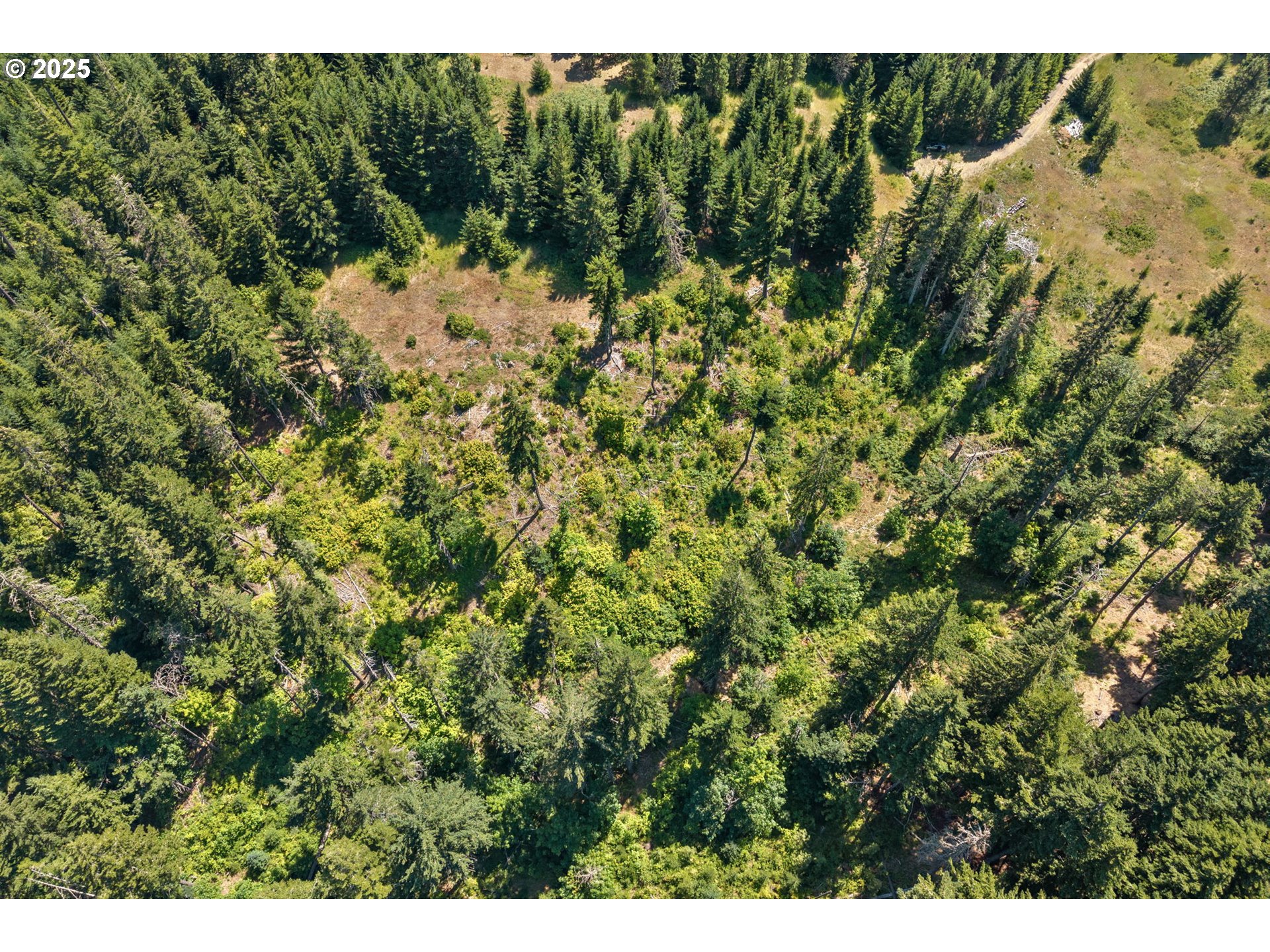 15 Brookside Road White Salmon, WA 98672 - Photo 13 of 27 a view of a yard with a tree