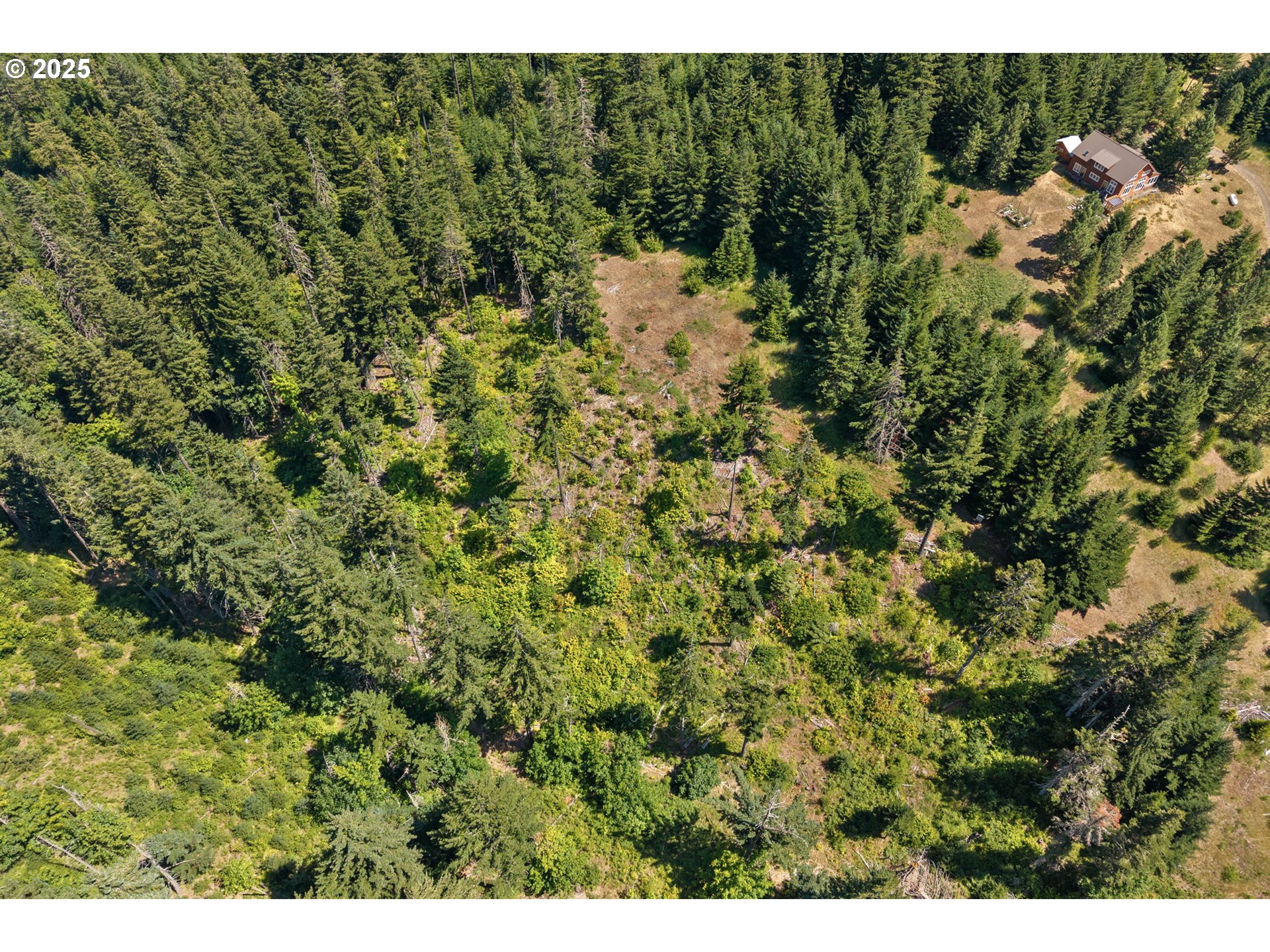 15 Brookside Road White Salmon, WA 98672 - Photo 19 of 27 a view of a forest with a tree