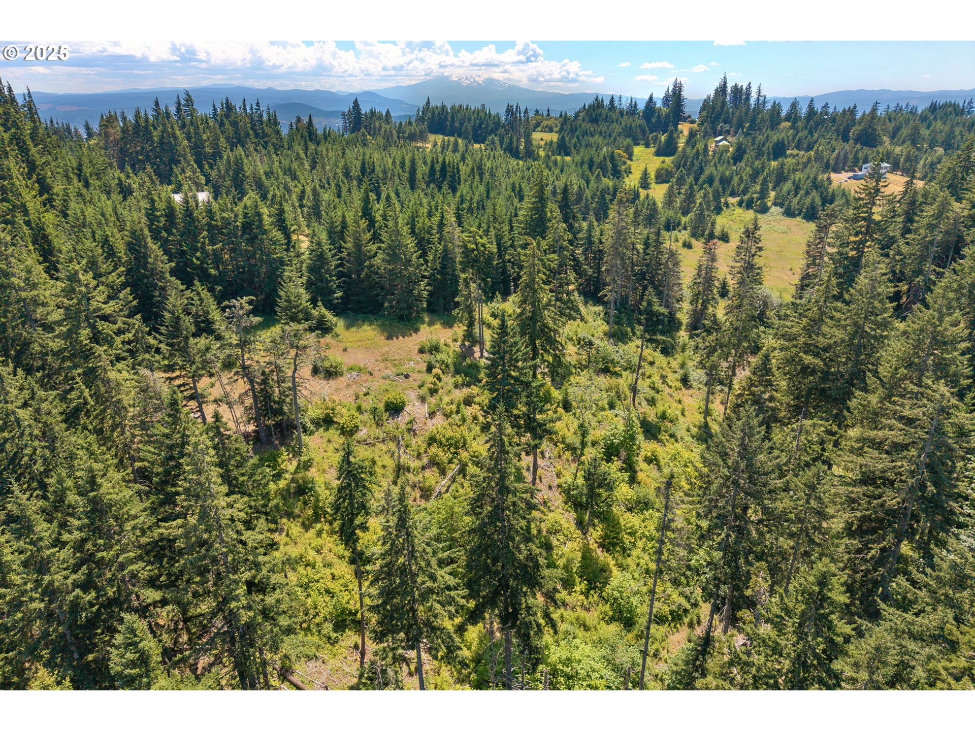 15 Brookside Road White Salmon, WA 98672 - Photo 20 of 27 a view of a bunch of trees and bushes