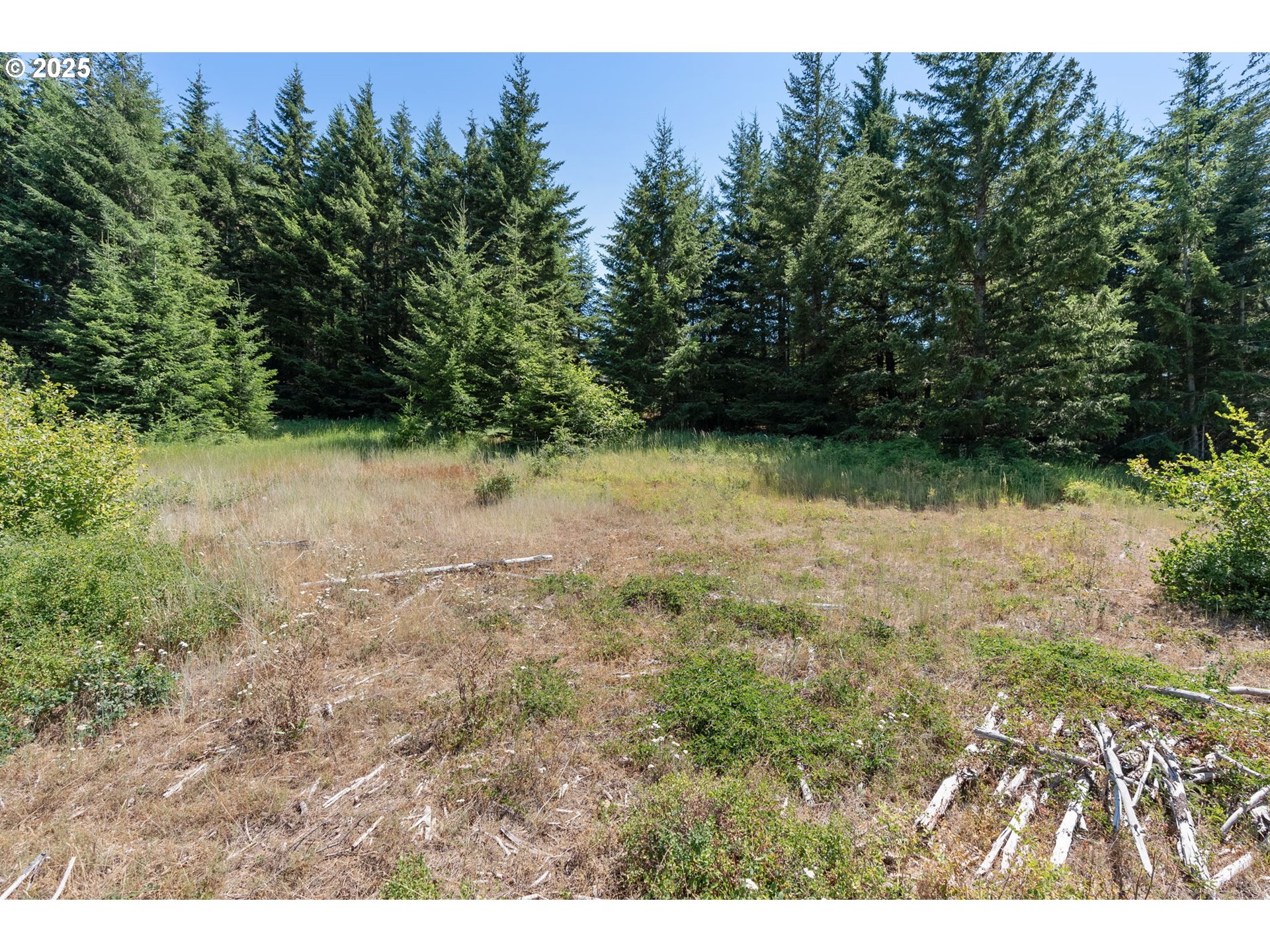 15 Brookside Road White Salmon, WA 98672 - Photo 21 of 27 a view of outdoor space and yard