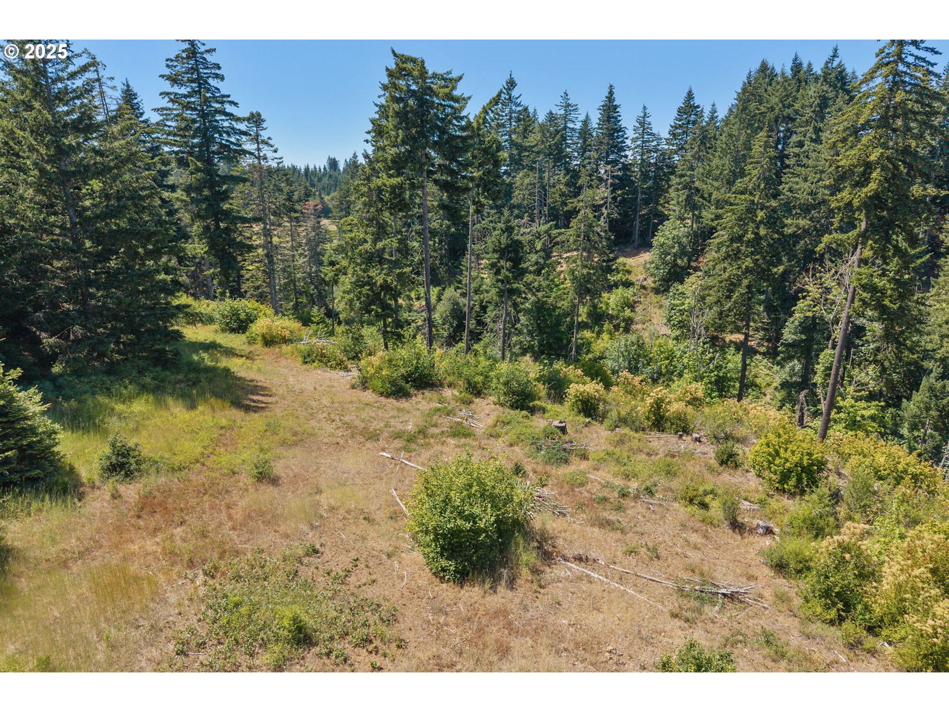 15 Brookside Road White Salmon, WA 98672 - Photo 22 of 27 a view of a yard with a tree