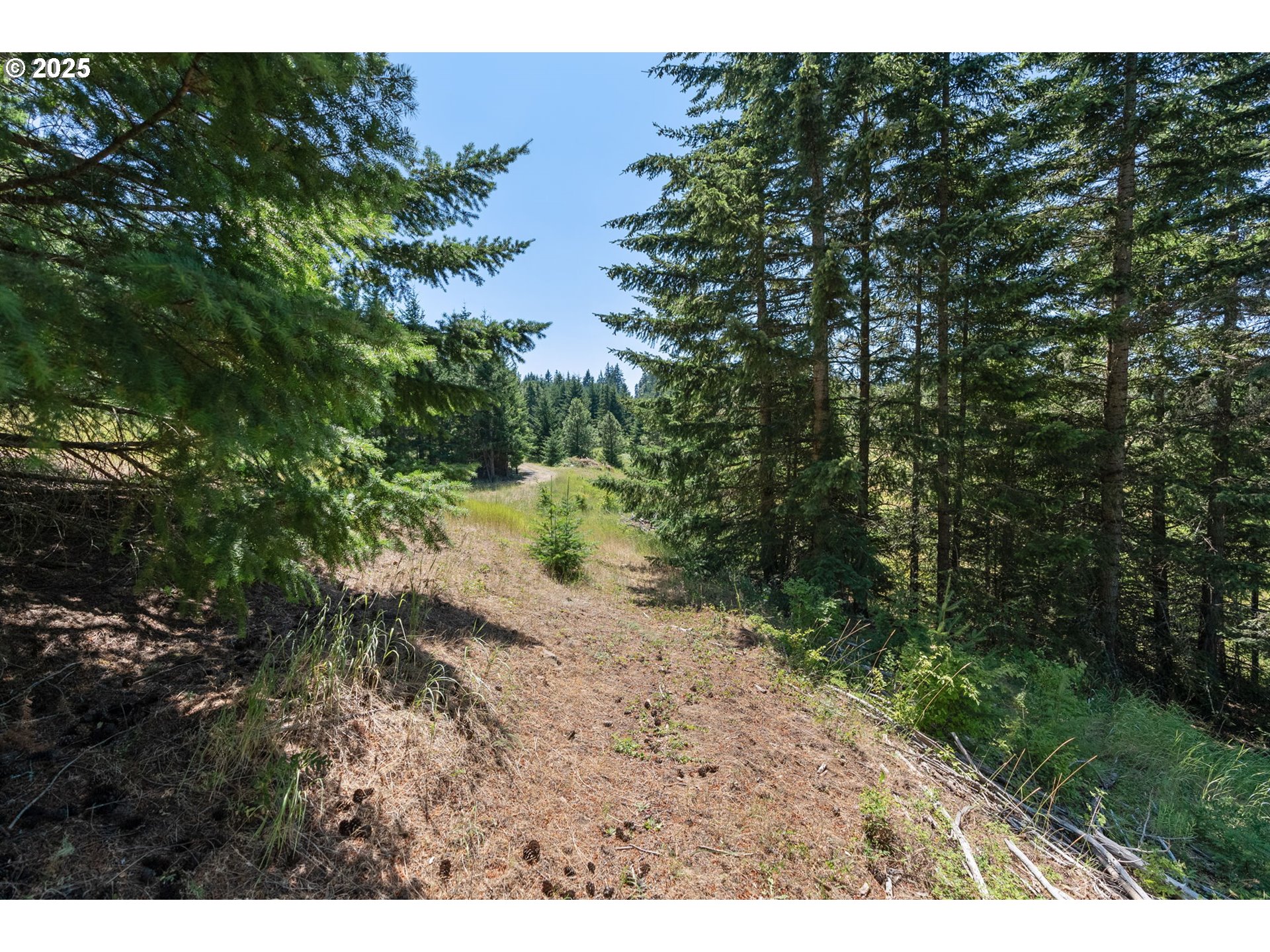 15 Brookside Road White Salmon, WA 98672 - Photo 27 of 27 a view of a yard with plants and a tree