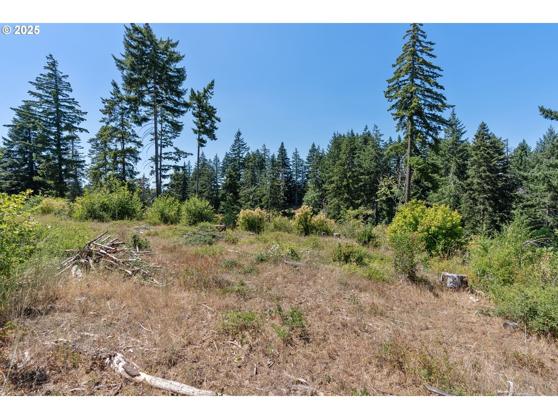 15 Brookside Road White Salmon, WA 98672 - Photo 7 of 27 a view of a large yard with lots of green space