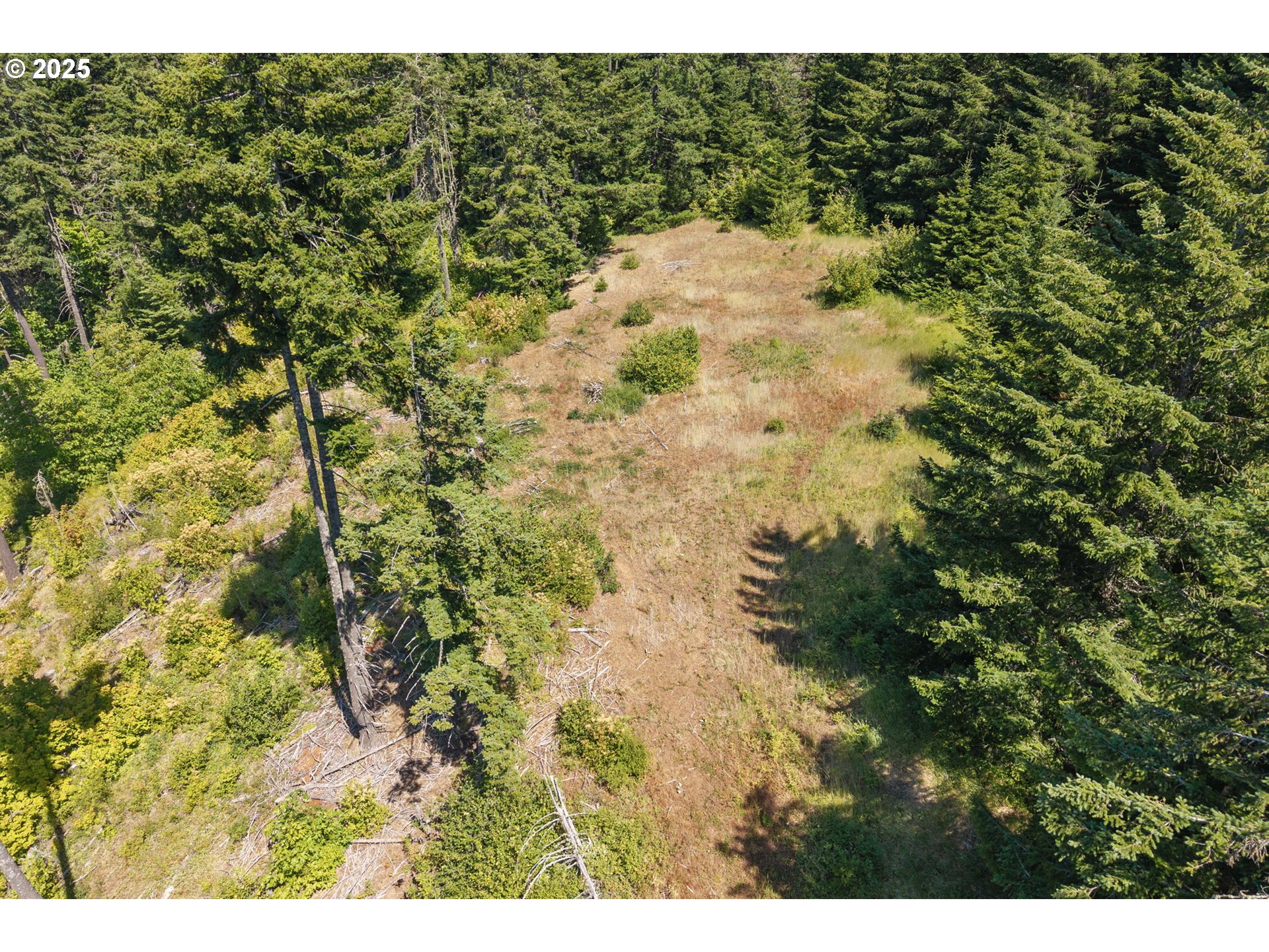 15 Brookside Road White Salmon, WA 98672 - Photo 8 of 27 a view of a yard of a building