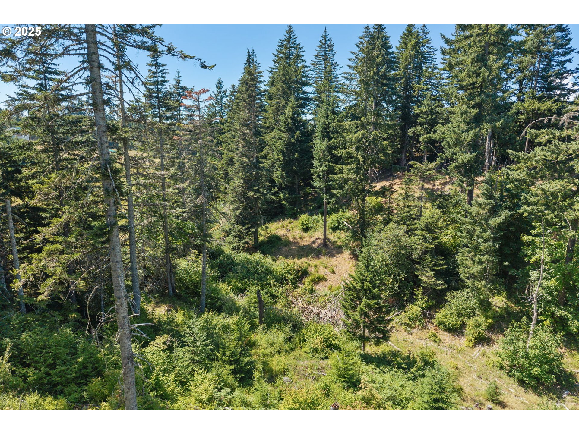 15 Brookside Road White Salmon, WA 98672 - Photo 10 of 27 a view of a green yard