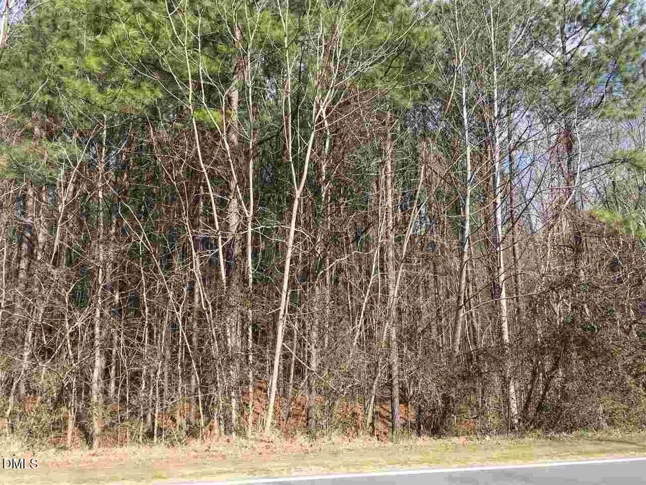 3165 Tump Wilkins Road Stem, NC 27581 - Photo 5 of 6
