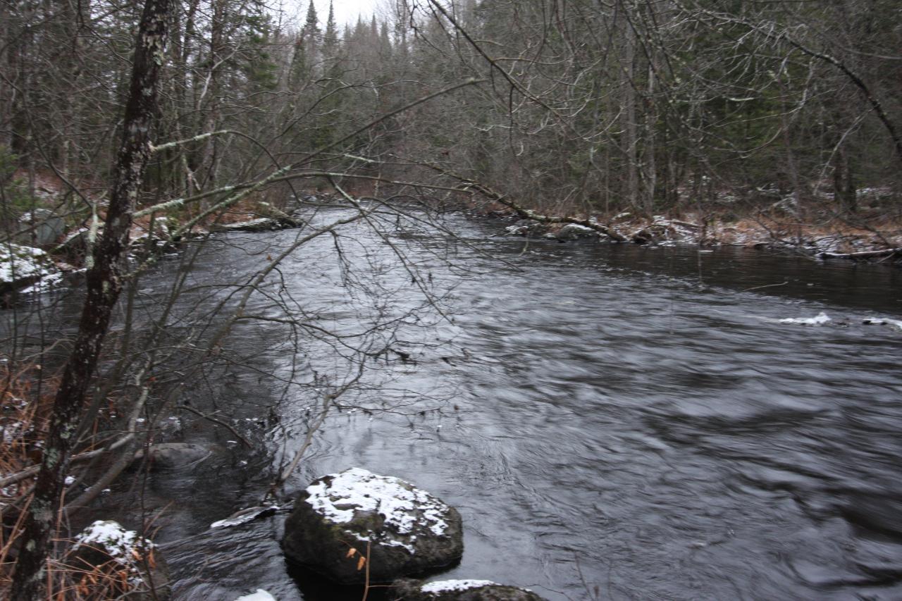 Lot 9 Murmuring Pnes Trail Rhinelander, WI 54501 - Photo 11 of 17 Gallery Image 11