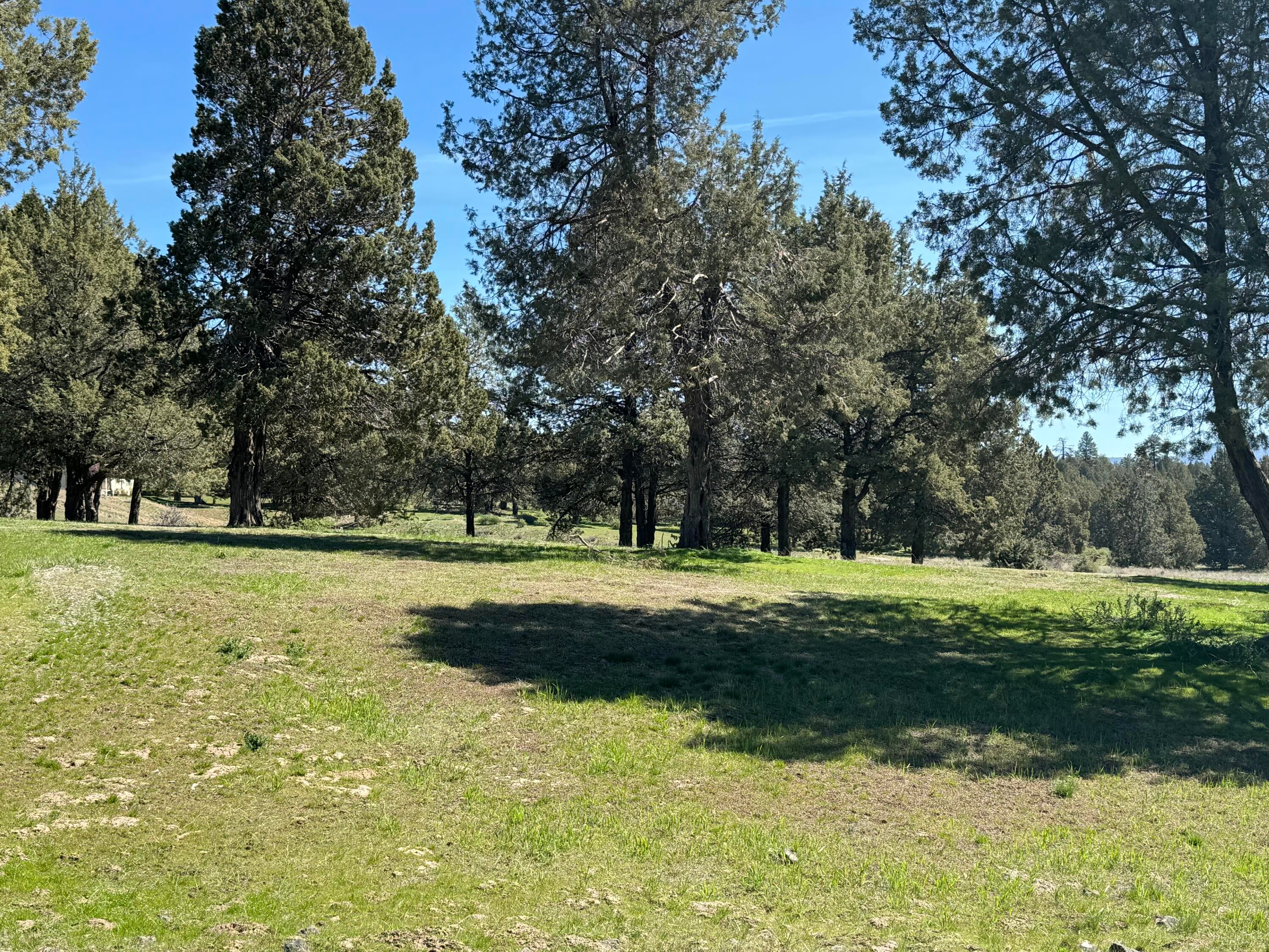 Lot 1131 Murrelet Road Klamath Falls, OR 97601 - Photo 8 of 8 m8