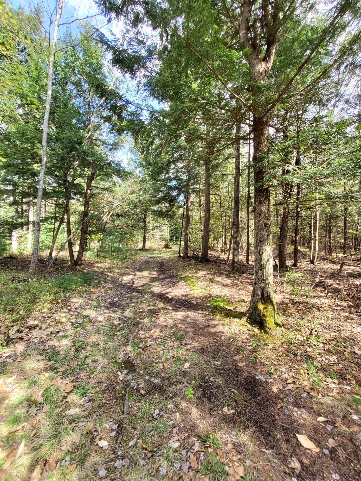 1729 Federal Road Livermore, ME 04253 - Photo 28 of 29