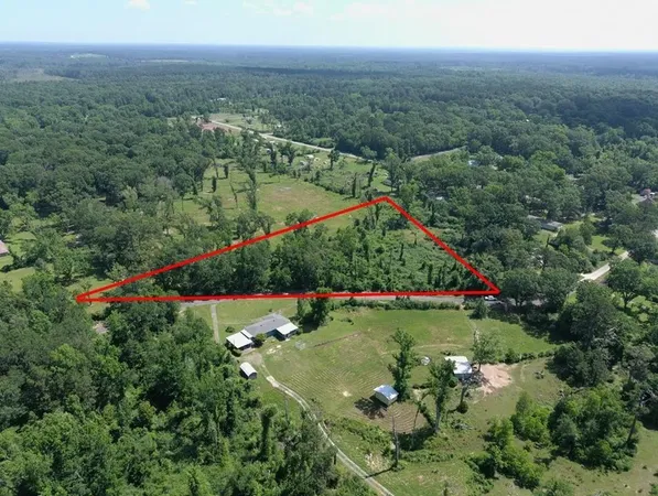 an aerial view of green landscape with trees houses and mountain view