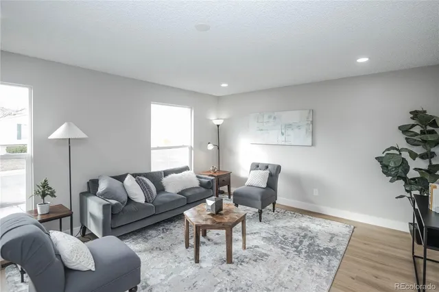 a living room with furniture and a potted plant
