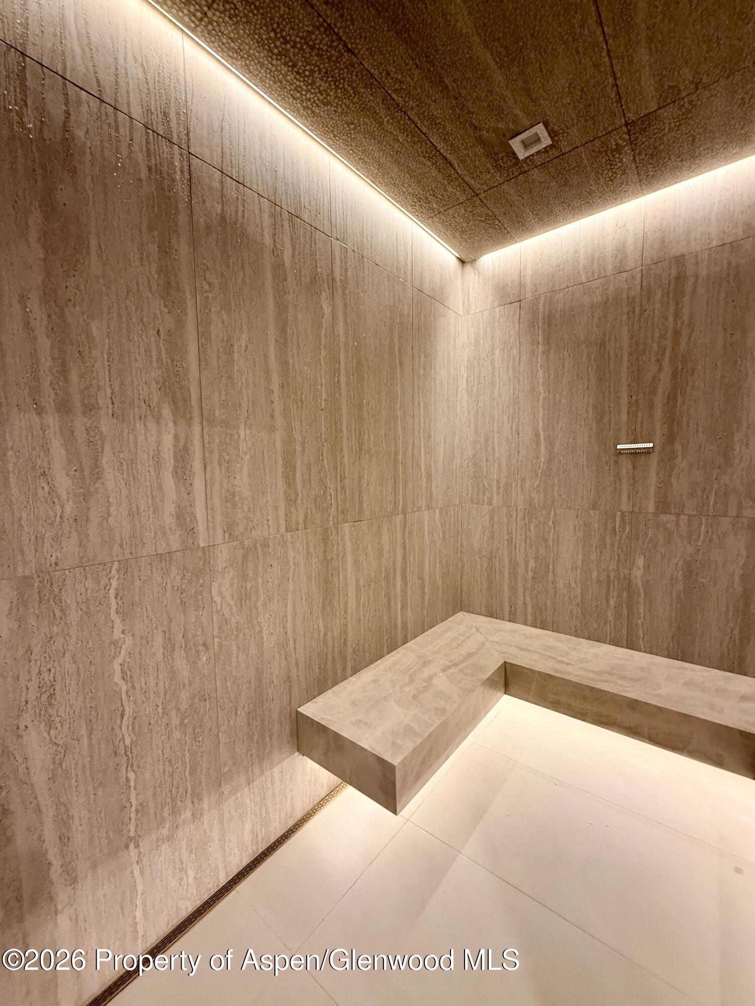 425 Wood Road, Unit 56 Snowmass Village, CO 81615 - Photo 44 of 49 IMG_1037