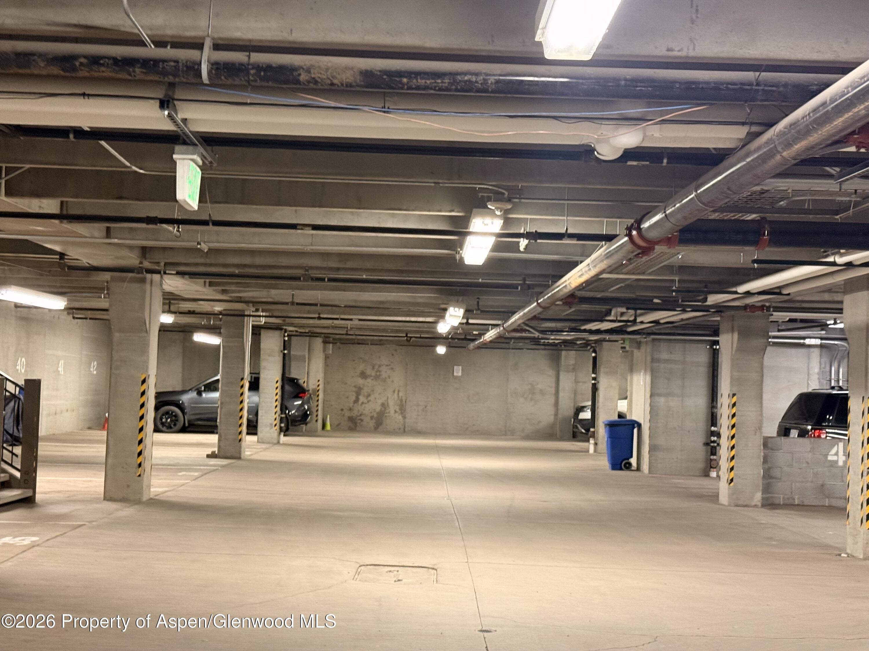 425 Wood Road, Unit 56 Snowmass Village, CO 81615 - Photo 48 of 49 IMG_1703