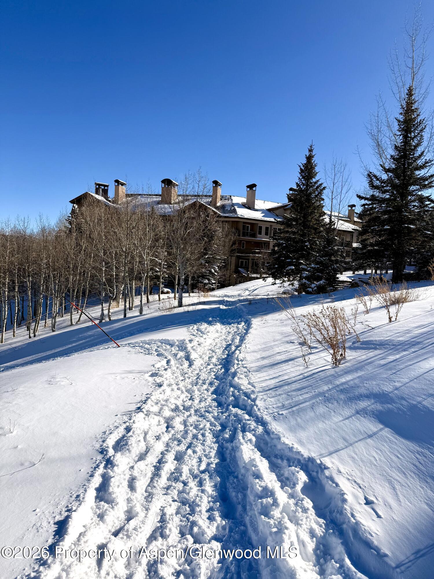 425 Wood Road, Unit 56 Snowmass Village, CO 81615 - Photo 49 of 49 IMG_1127