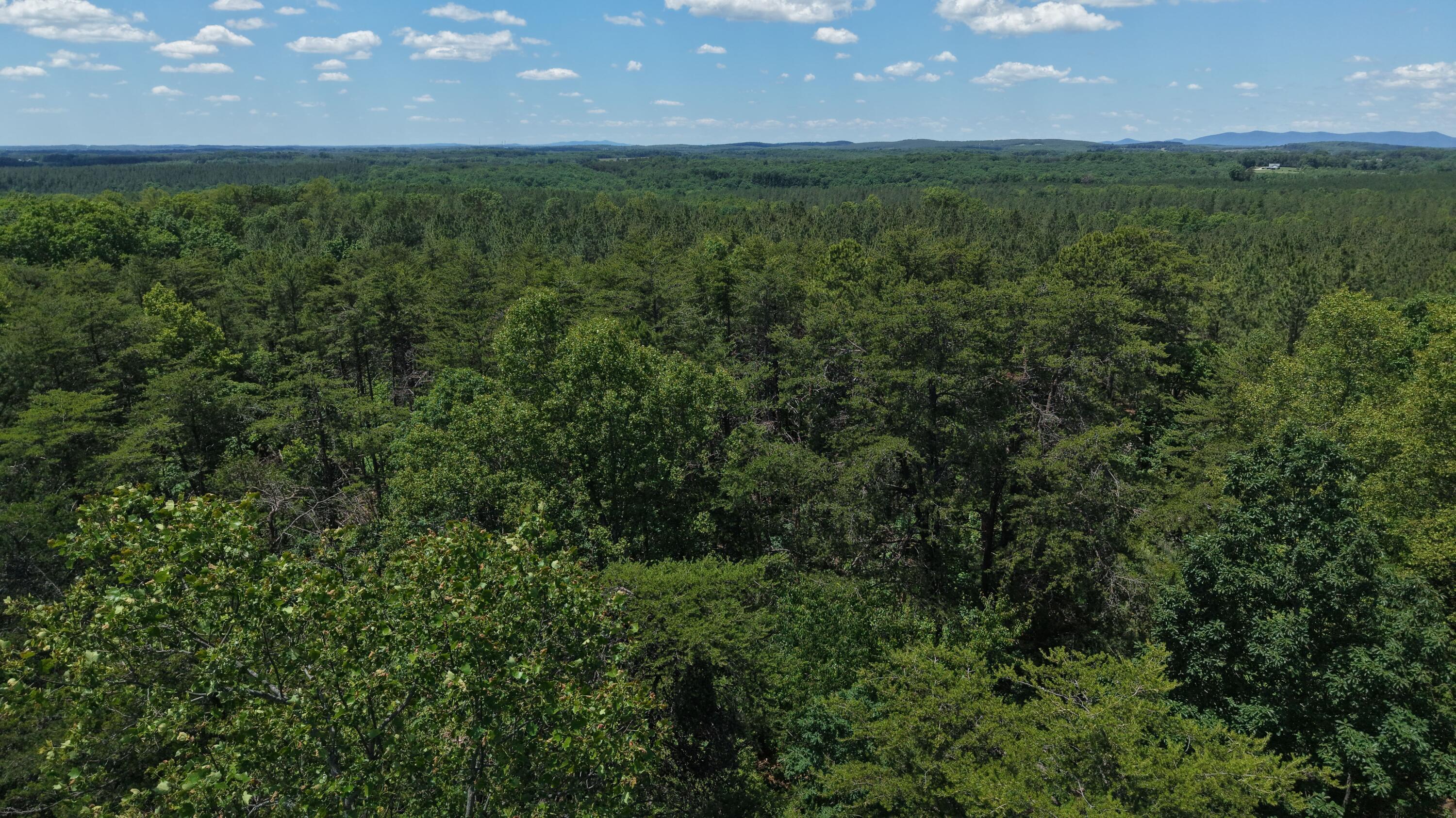 3685 Midway Road Gretna, VA 24557 - Photo 41 of 43 40