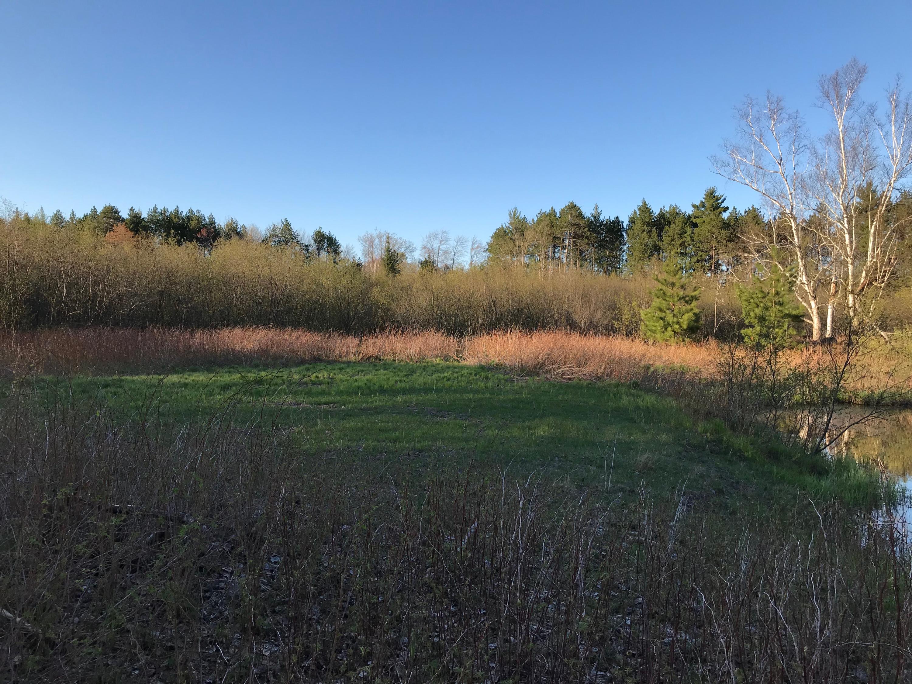 2018 Deer Valley Road Alpena, MI 49707 - Photo 7 of 33 Gallery Image 7