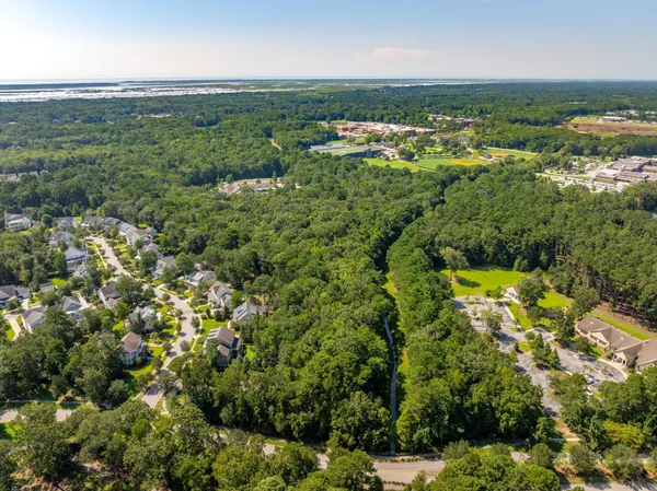 $1,195,000 | 0 Darrell Creek Trail, Mount Pleasant, SC 29466