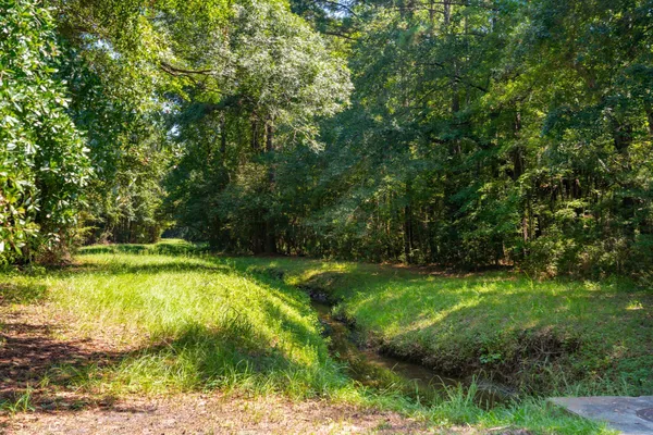 $1,195,000 | 0 Darrell Creek Trail, Mount Pleasant, SC 29466